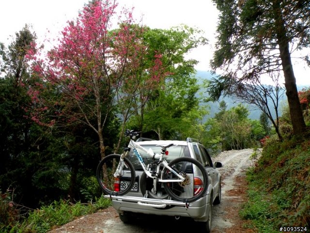 沙溪林道路不通,轉戰多納林道去!