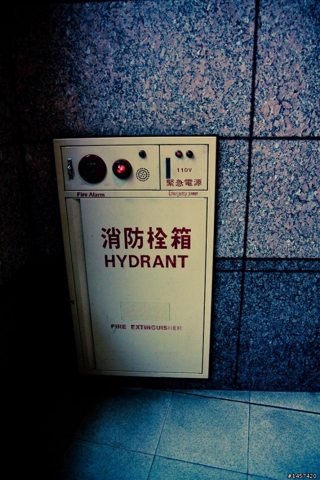 遲來的A16