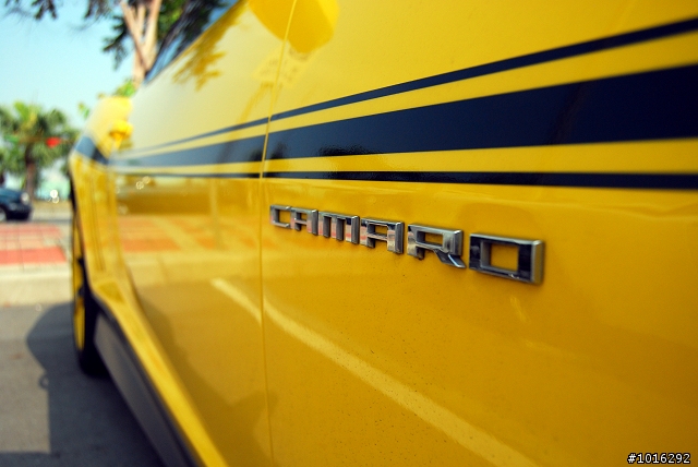 575、大黃蜂&R35 in夢時代