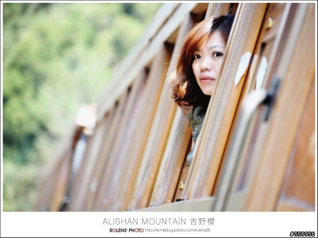2010-03-22阿里山櫻花花況分享