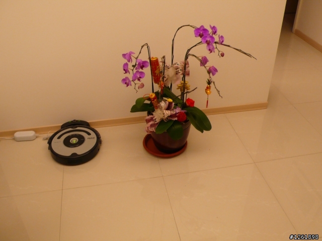 (圖多)完全居家實況的新居裝潢開箱文