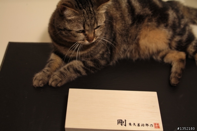 人生第一支手工眼鏡 --- 角矢甚治郎 剛 関脇