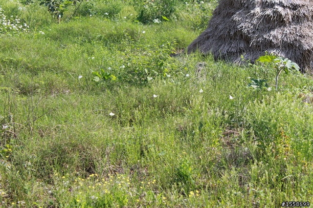 牽車也要到目的地的3月環島行