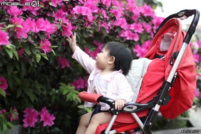 Canon 550D+50mm F1.4 戶外拍小孩