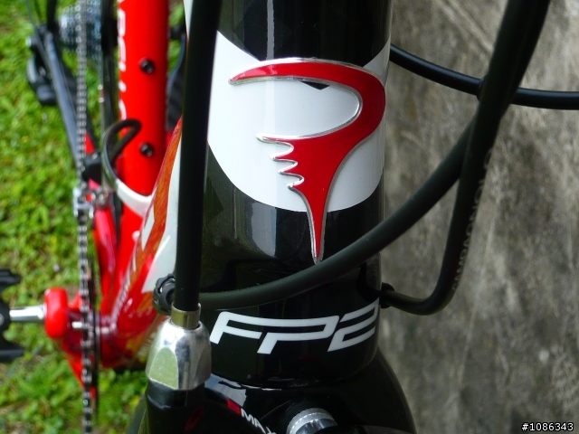 分享 2010 PINARELLO FP2