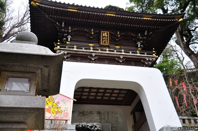 願望達成~東京自由行(圖、文多，慎入)