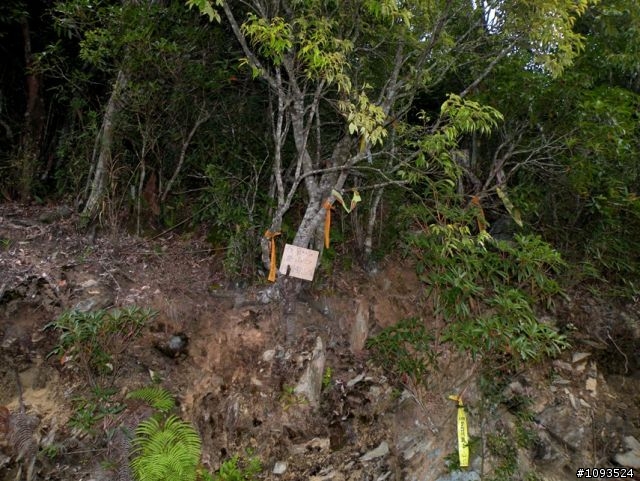 沙溪林道路不通,轉戰多納林道去!