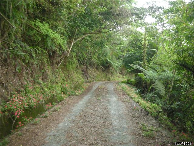 大同鄉玉蘭村、本覺禪寺、松羅村漫遊