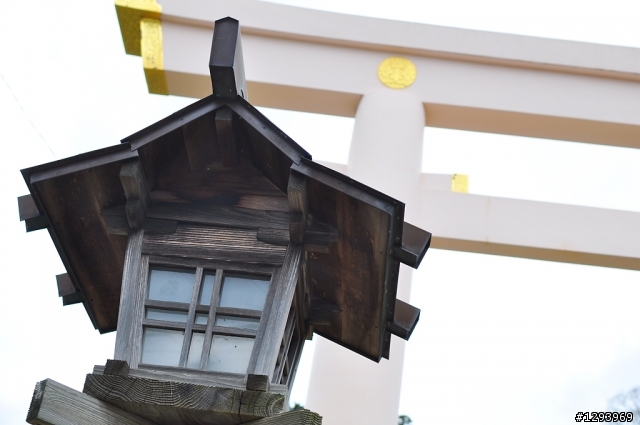 願望達成~東京自由行(圖、文多，慎入)