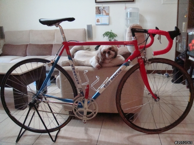 1992 EDDY MERCKX motorola MX Leader