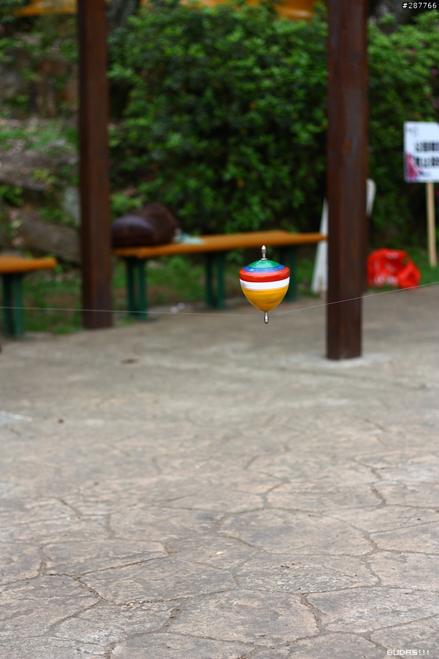 Canon Kiss X2 +50mm f1.8 陽明花季不拍花