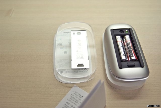 新加入的伙伴
