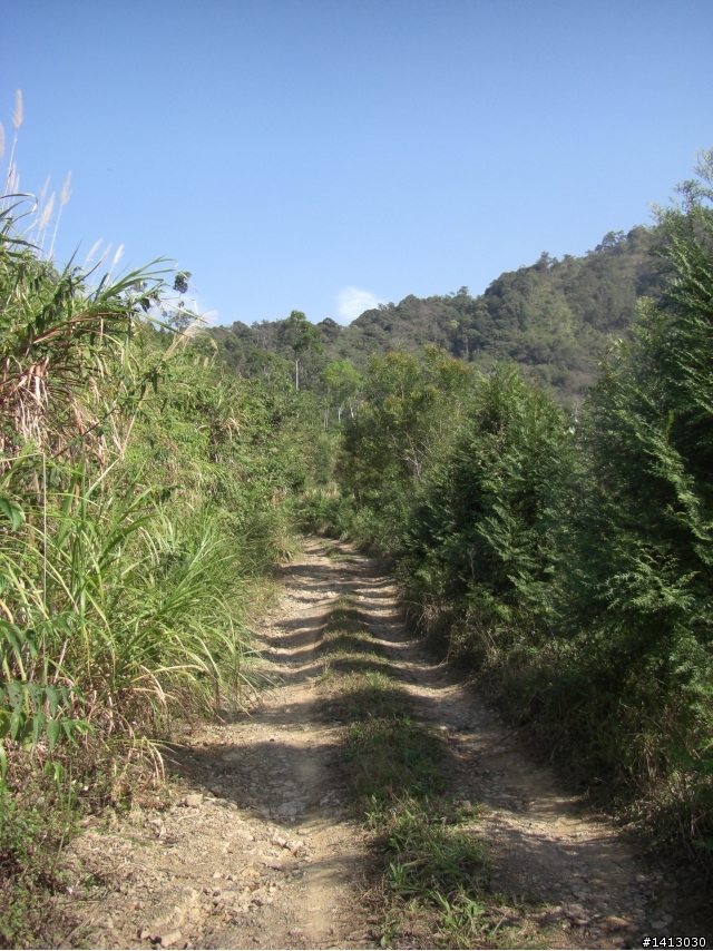 春天>>拜訪沙蓮巷off road  [台中谷關]