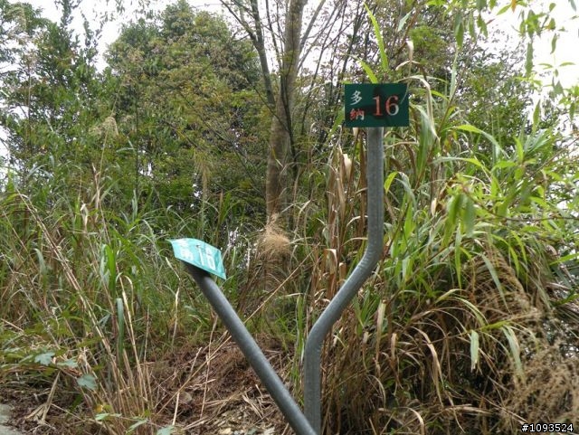 沙溪林道路不通,轉戰多納林道去!