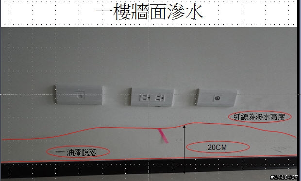 求救!連棟透天伸縮縫滲水問題