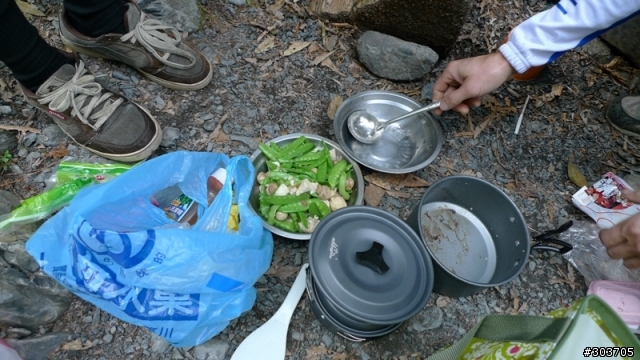 鎮西堡神木群B區之旅