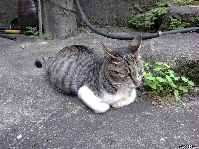 0306侯硐簡單之旅