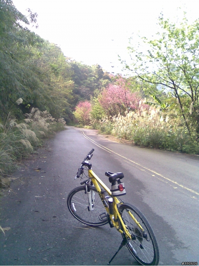 虎年首發-原路來回之爆累東眼山，初試Off Road~