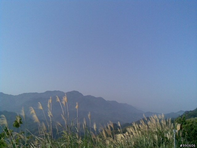 虎年首發-原路來回之爆累東眼山，初試Off Road~