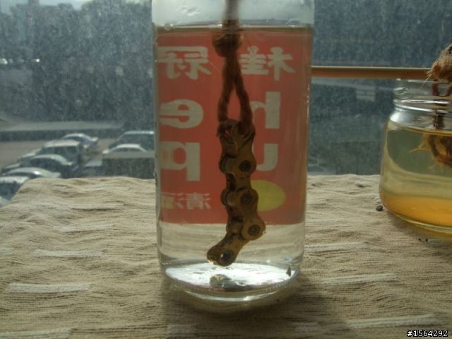 生猛海水浸泡抗鏽力實驗 終了