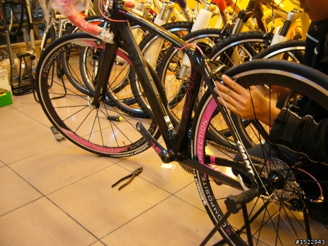 女王的第一台公路車2010 GIANT  AVAIL AD