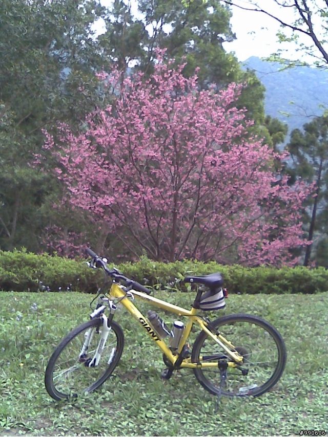 虎年首發-原路來回之爆累東眼山，初試Off Road~