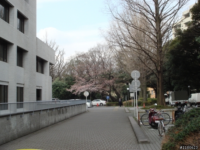 東京麻布十番的生活 (圖多)