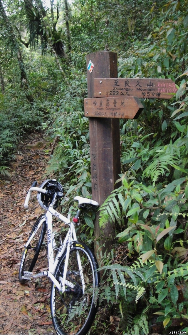 [遊記]單車哈盆越嶺----福山植物園