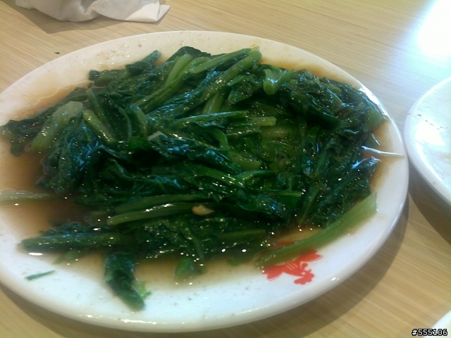 嘉義噴水雞肉飯~