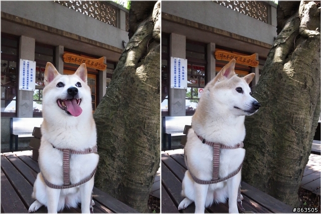 【生活老街】湖口老街