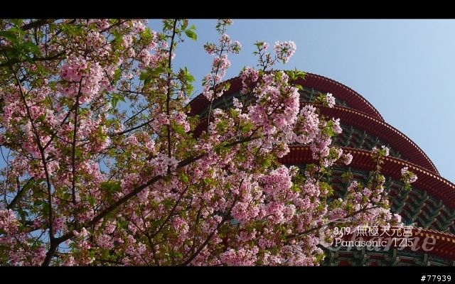 【分享】3/19 無極天元宮。Panasonic TZ15