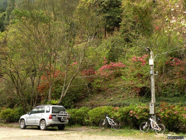 沙溪林道路不通,轉戰多納林道去!