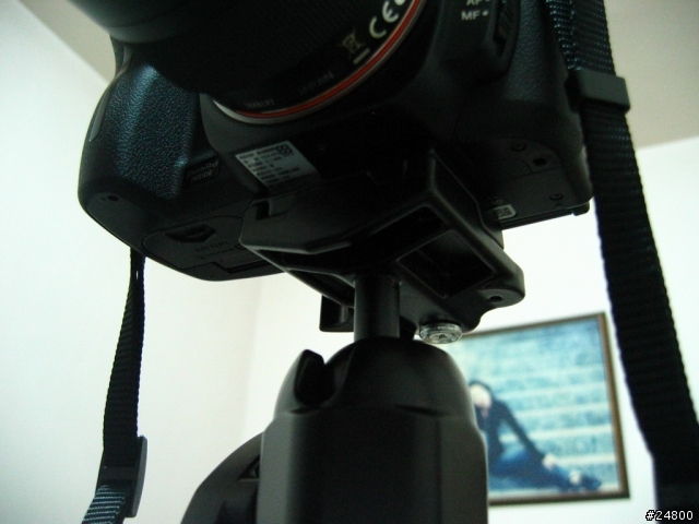 Nikon 原廠DSLR專用大型腳架 for SONY