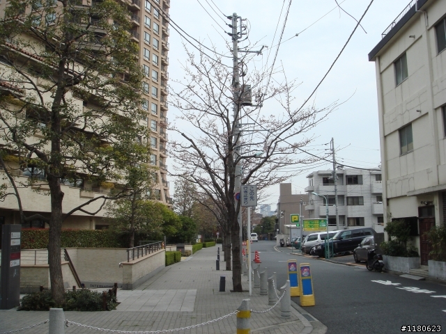 東京麻布十番的生活 (圖多)