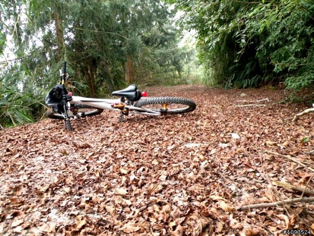 沙溪林道路不通,轉戰多納林道去!
