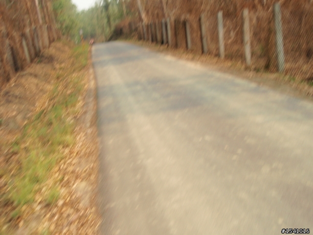 [分享]20100328 木架山【勇腳月與肉腳德遊記】