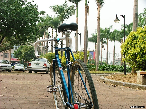 我的單速鋼管車