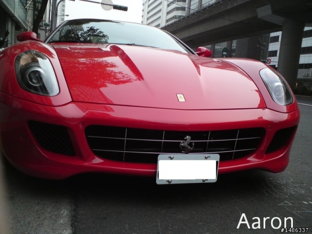 黑小牛 & 紅599