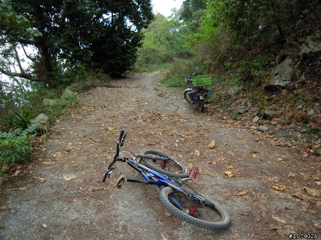 五公山林道近況