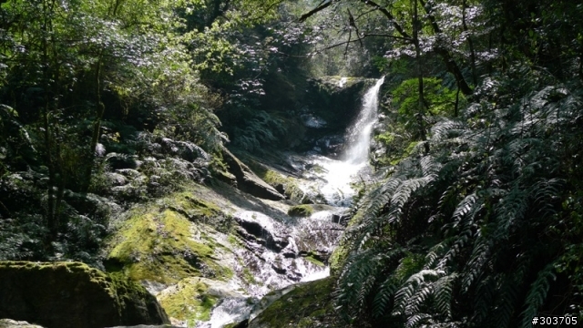 鎮西堡神木群B區之旅