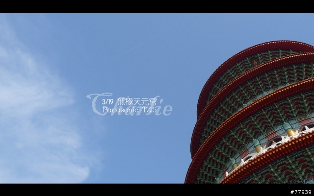 【分享】3/19 無極天元宮。Panasonic TZ15