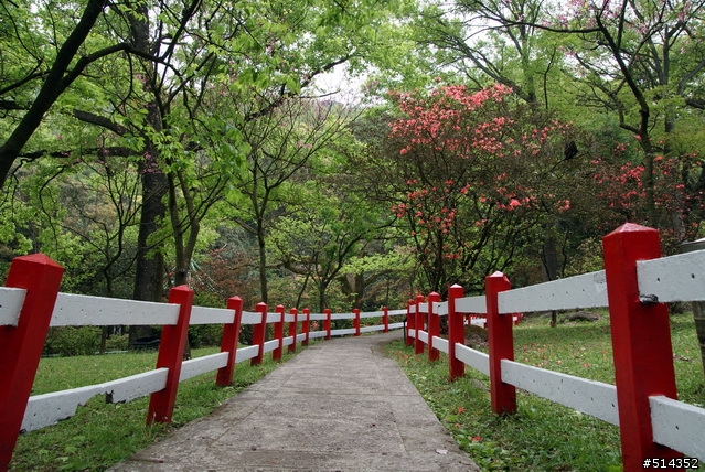 [分享] a200 - 陽明山花季 ~