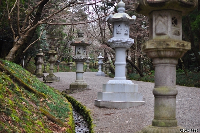 願望達成~東京自由行(圖、文多，慎入)