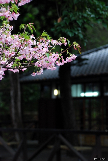 [旅遊] 新竹縣市美食爆走一日遊 Part.3 (圖多慎入)