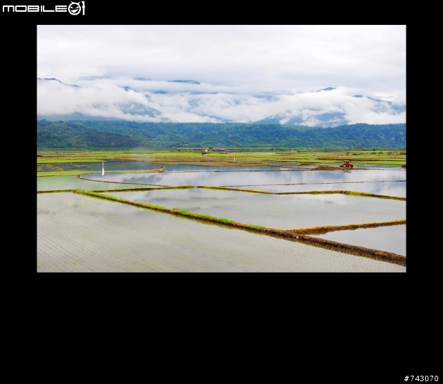 2010.02.12~02.20(9日環島)~冷.濕~圖多~D5--D9