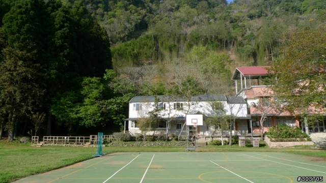 鎮西堡神木群B區之旅