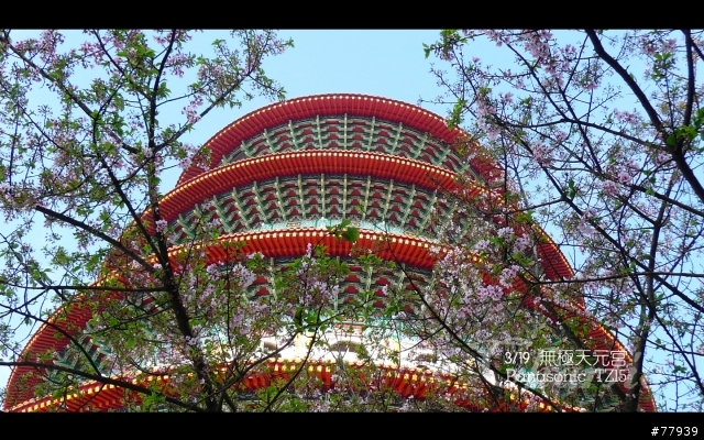 【分享】3/19 無極天元宮。Panasonic TZ15
