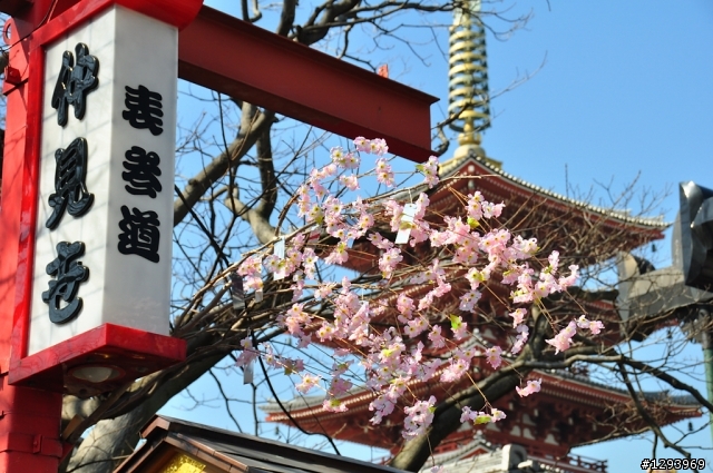 願望達成~東京自由行(圖、文多，慎入)
