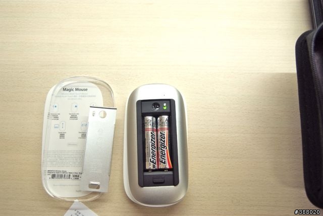 新加入的伙伴