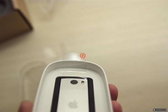 新加入的伙伴